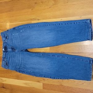 Banana Republic High Rise Straight Leg Distressed Jeans